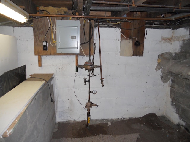 unfinished basement featuring electric panel