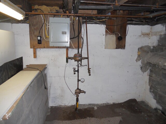 unfinished basement featuring electric panel