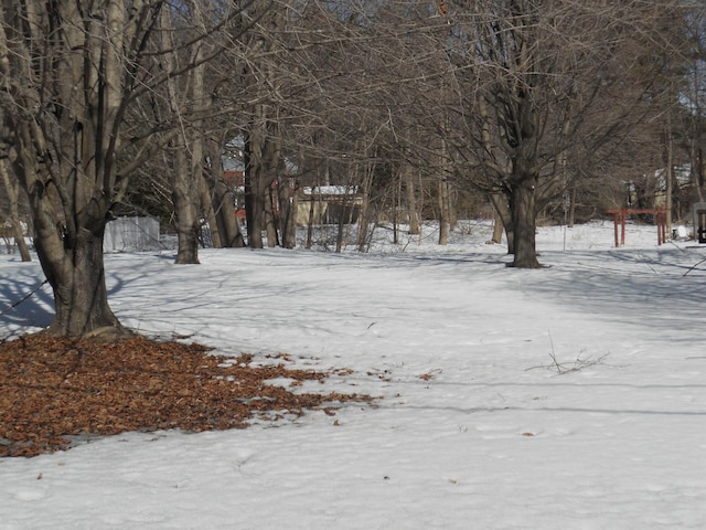 view of yard layered in snow