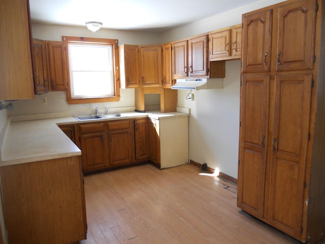 kitchen with brown cabinetry, baseboards, light wood-style flooring, a sink, and light countertops