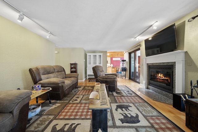 living room featuring a fireplace, wood finished floors, and track lighting