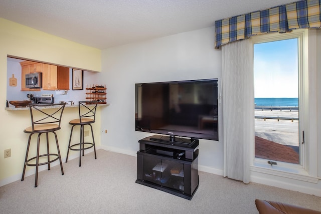 living room featuring baseboards, carpet, and a textured ceiling