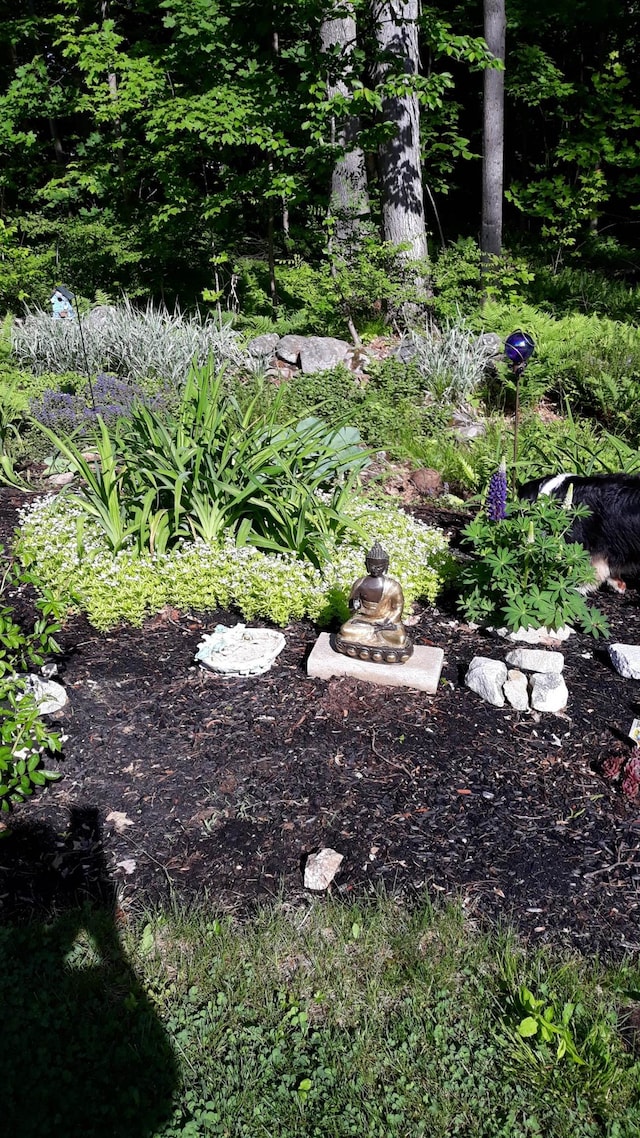 view of yard featuring a vegetable garden