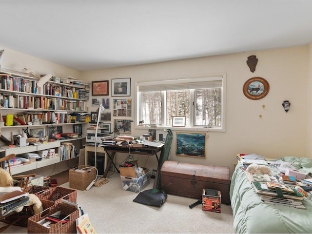 bedroom with carpet floors