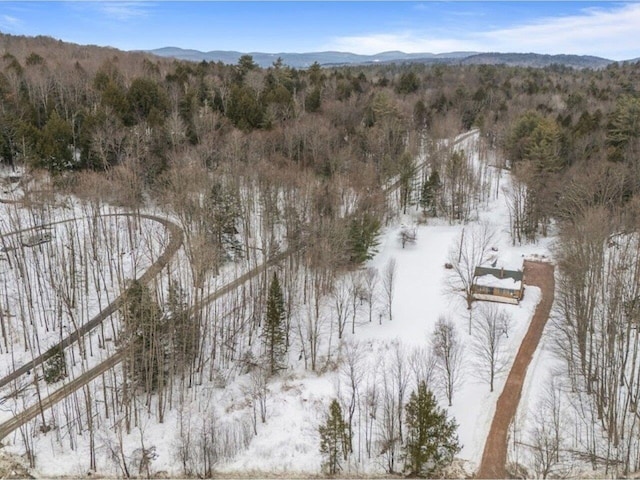 snowy aerial view featuring a mountain view and a view of trees