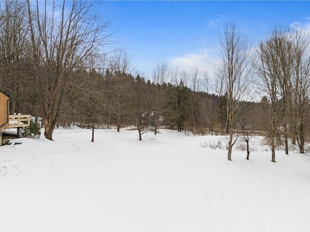 view of yard layered in snow