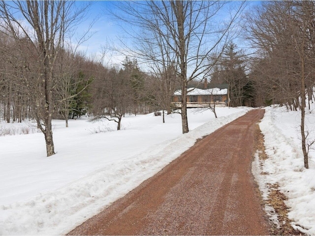 view of street featuring driveway