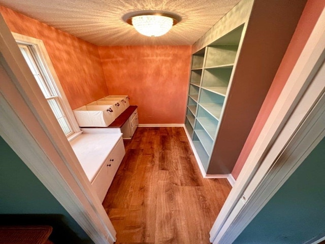 walk in closet with dark wood-type flooring