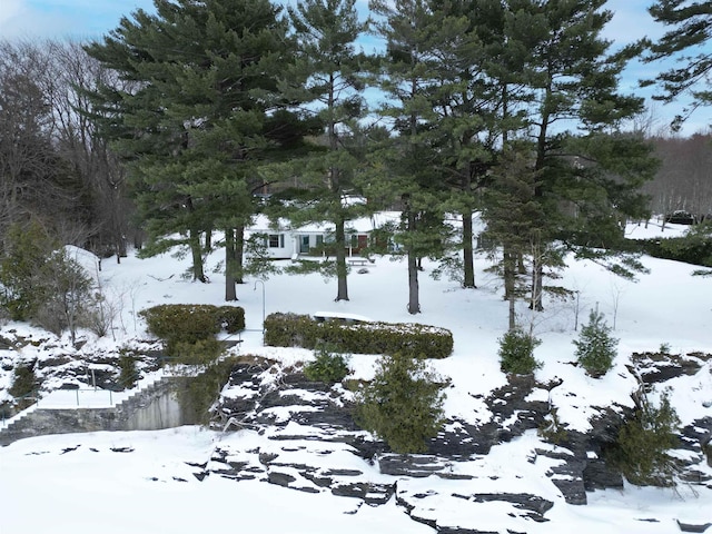 view of snowy landscape