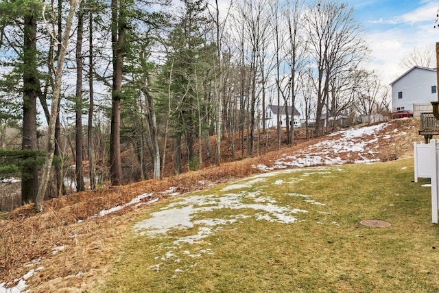 view of yard covered in snow