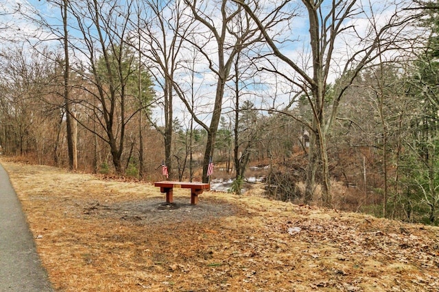 view of community featuring a forest view