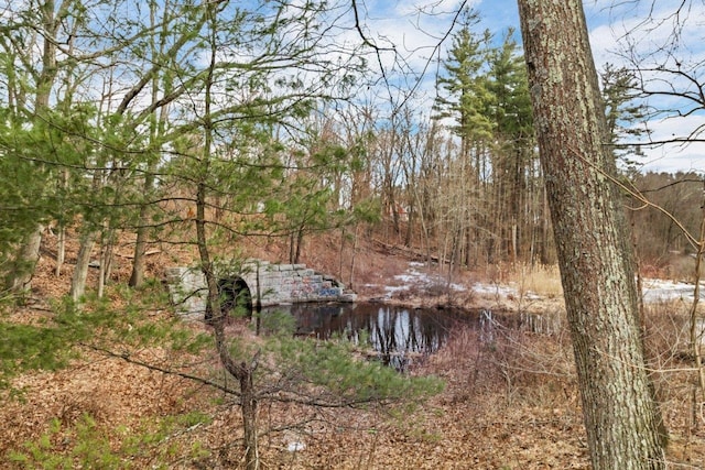 view of nature featuring a view of trees