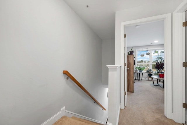 staircase featuring baseboards and carpet floors