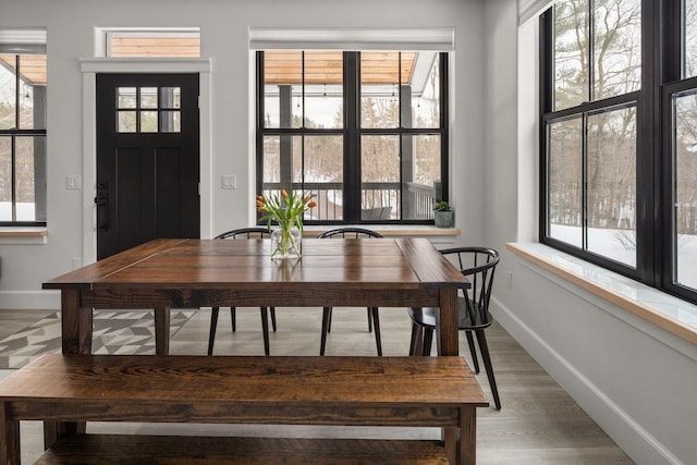 dining space featuring baseboards, light wood-style floors, and a healthy amount of sunlight