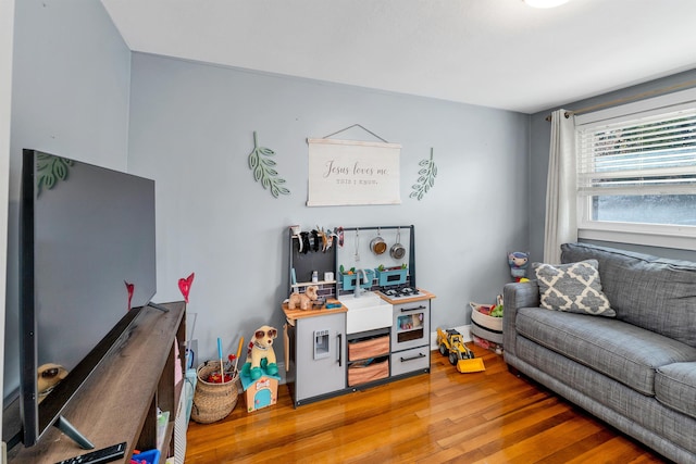 living room featuring wood finished floors