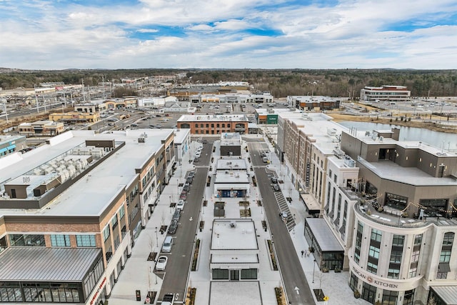 drone / aerial view