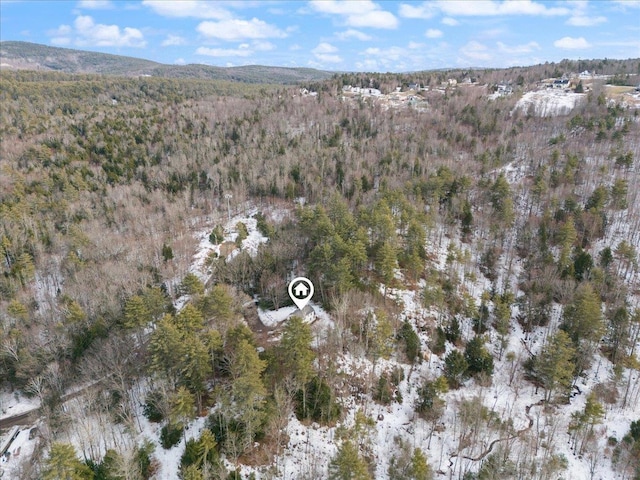 bird's eye view with a view of trees and a mountain view