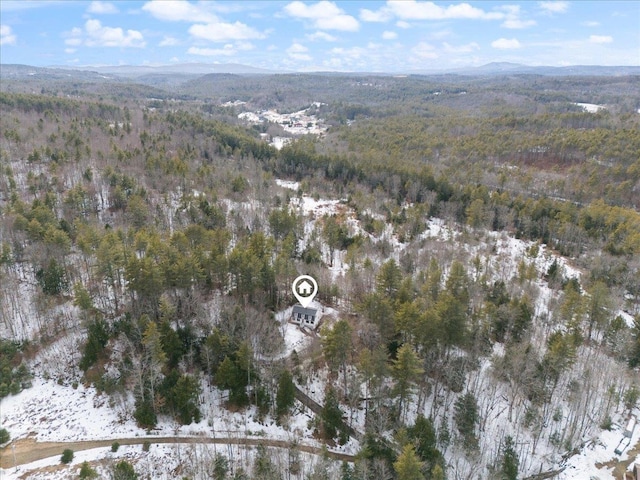 birds eye view of property with a mountain view and a view of trees