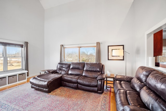 living area with wood finished floors and high vaulted ceiling