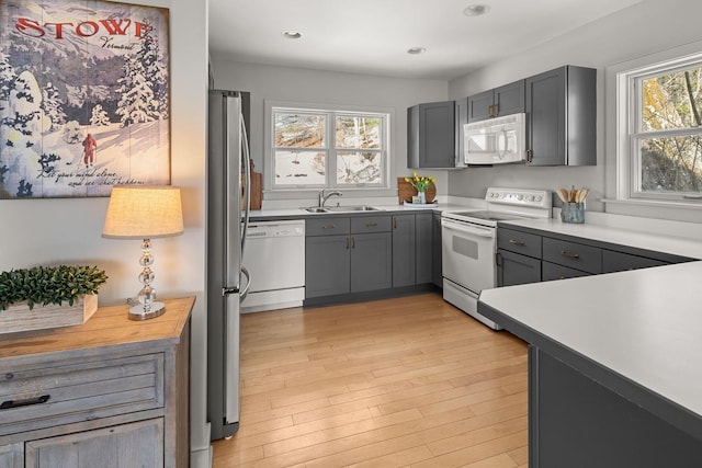 kitchen with white appliances, light wood-style flooring, recessed lighting, gray cabinets, and a sink