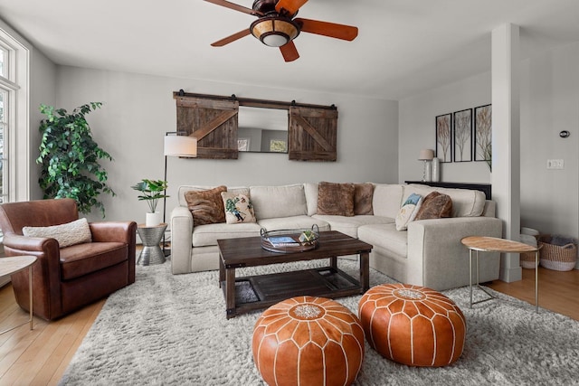 living area with hardwood / wood-style floors, a barn door, and ceiling fan