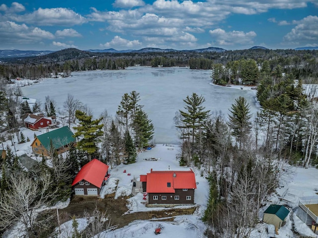 snowy aerial view featuring a mountain view and a view of trees