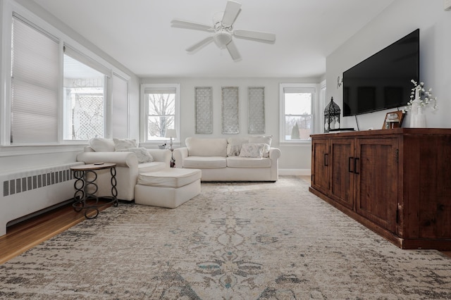 living area featuring a healthy amount of sunlight, radiator, ceiling fan, and wood finished floors