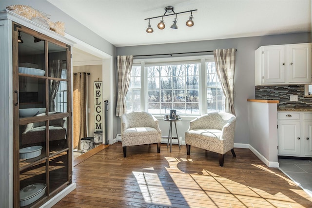 sitting room featuring dark wood-style floors, a baseboard heating unit, and baseboards