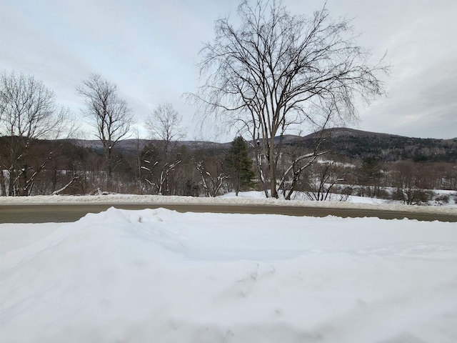 285 Chandler Rd, Northfield VT, 05663 land for sale