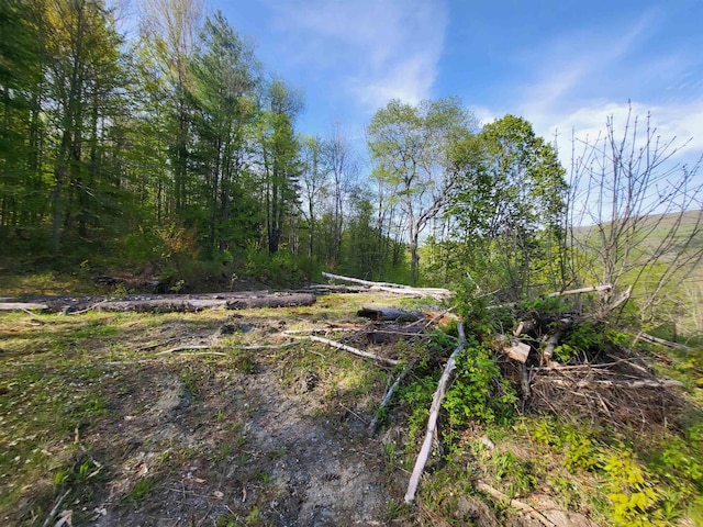 285 Chandler Rd, Northfield, VT 05663