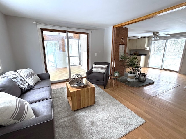 living area with plenty of natural light, a ceiling fan, and light wood finished floors