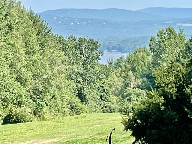 view of mountain feature featuring a wooded view