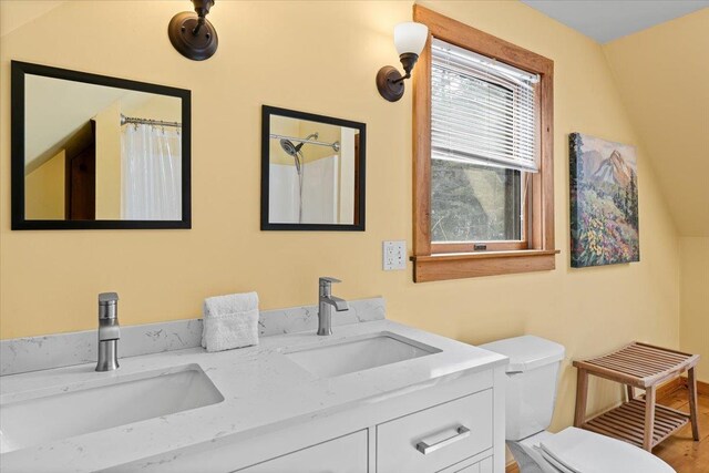 bathroom featuring double vanity, toilet, and a sink
