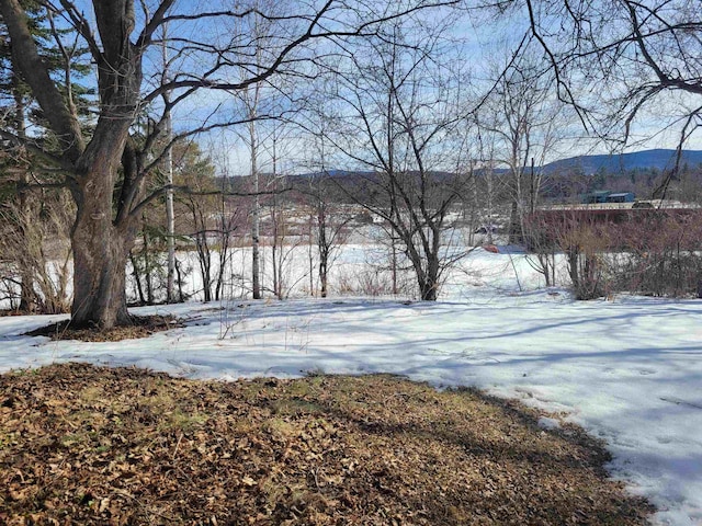 yard covered in snow featuring a mountain view