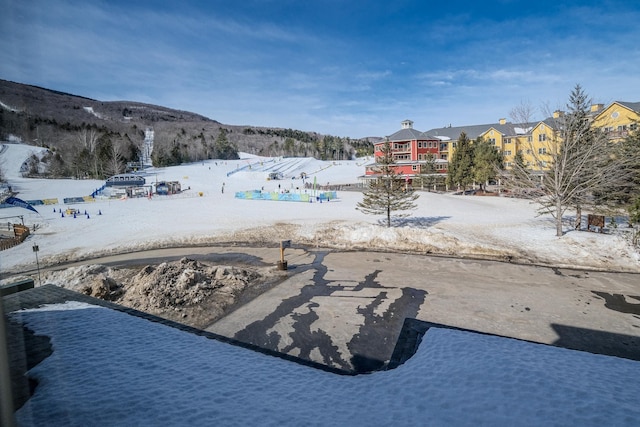 view of yard covered in snow