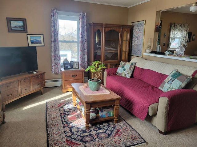 living area with carpet floors, crown molding, and a baseboard radiator