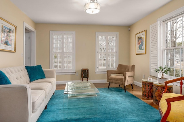 living area with baseboards and wood finished floors