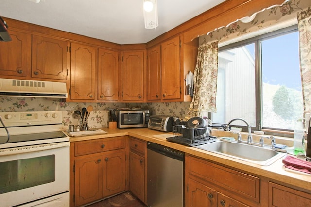 kitchen with a sink, stainless steel appliances, extractor fan, and light countertops