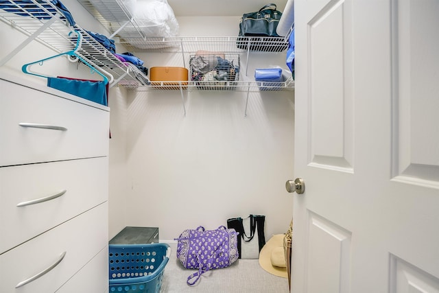 view of walk in closet