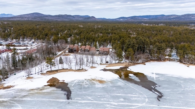 snowy aerial view with a mountain view and a wooded view