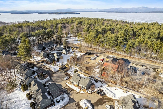 birds eye view of property featuring a water and mountain view