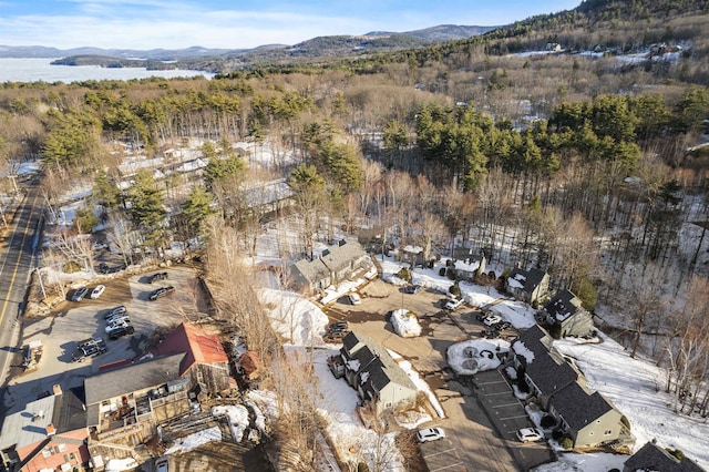 birds eye view of property with a mountain view