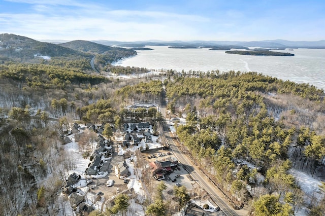 birds eye view of property with a water and mountain view