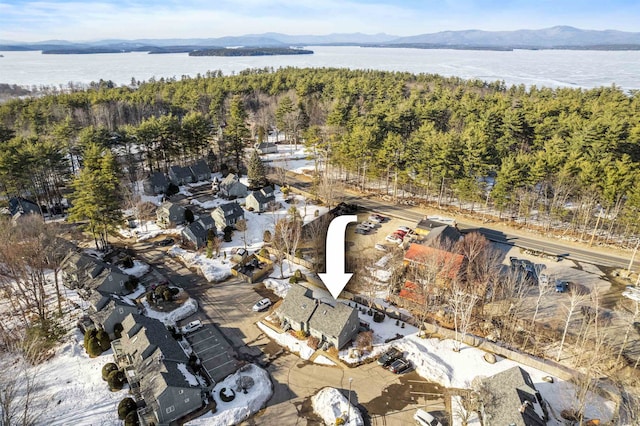 birds eye view of property with a water and mountain view