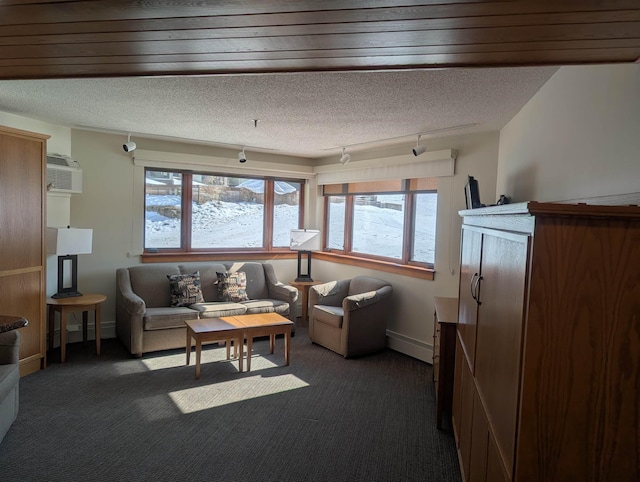 living area featuring baseboards, a textured ceiling, track lighting, and carpet flooring