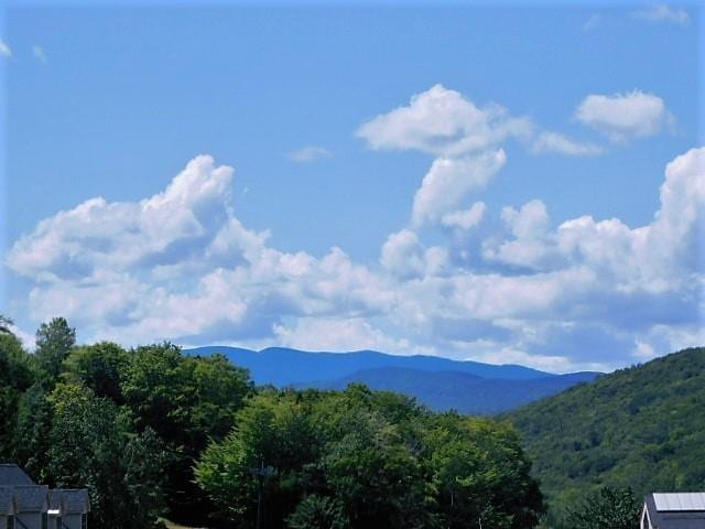 mountain view featuring a forest view