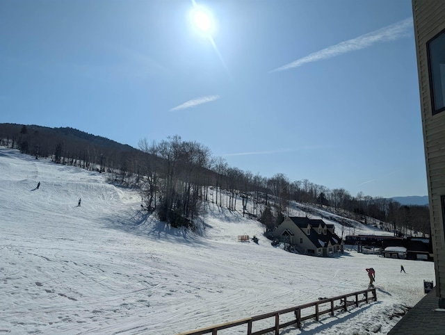 view of yard covered in snow