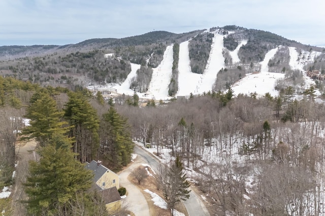 39 Birch Glen Dr, Bennington, NH 03442 - mountain view with a view of trees