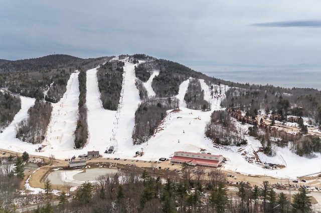 39 Birch Glen Dr, Bennington, NH 03442 - snowy aerial view with a mountain view