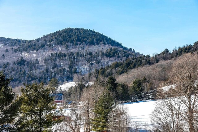 property view of mountains featuring a forest view